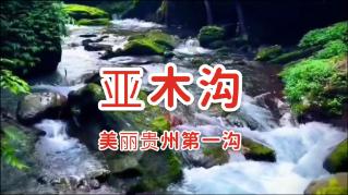 吴优是什么电视剧女主角